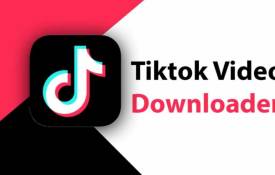 Say Goodbye To Watermarks: Download TikTok Videos Seamlessly With TikTokio
