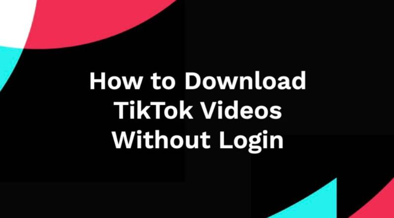 Download TikTok Videos Anywhere, Anytime With TikTokio